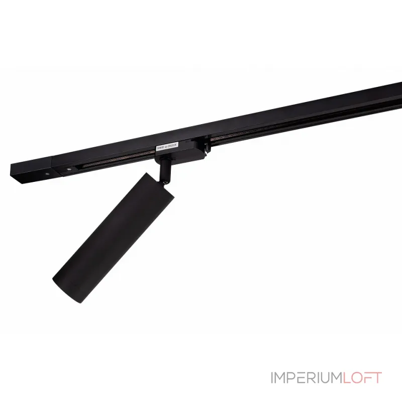 Светильник на штанге Denkirs DK620 DK6203-BK