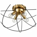 Потолочная люстра Vele Luce Asteroide VL5342L04 