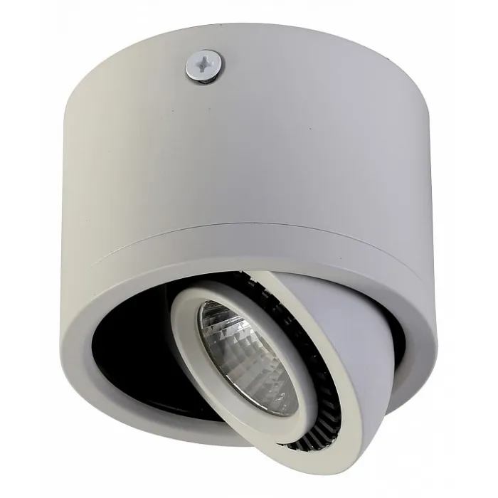 Накладной светильник Favourite Reflector 1774-1C от ImperiumLoft