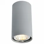Накладной светильник Arte Lamp 1516 A1516PL-1GY Цвет арматуры серый Цвет плафонов серый