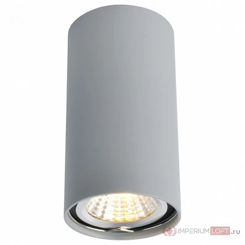 Накладной светильник Arte Lamp 1516 A1516PL-1GY Цвет арматуры серый Цвет плафонов серый от ImperiumLoft