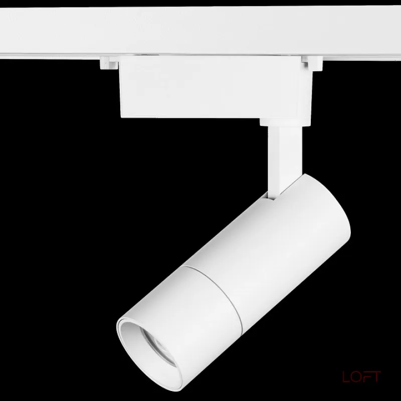 Светильник на штанге Lightstar Volta 229146 Цвет плафонов белый
