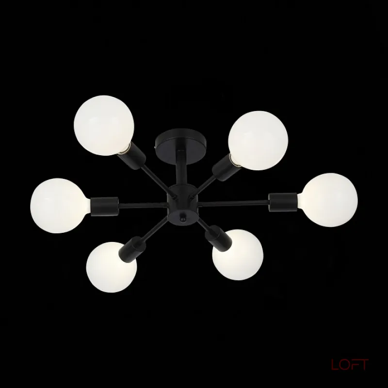 Потолочная люстра EVOLUCE Ano SL419.402.06  Потолочная люстра EVOLUCE Ano SL419.402.06