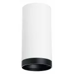 Накладной светильник Lightstar Rullo R64863487