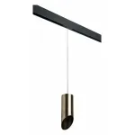 Подвесной светильник Lightstar Rullo PRORP431431