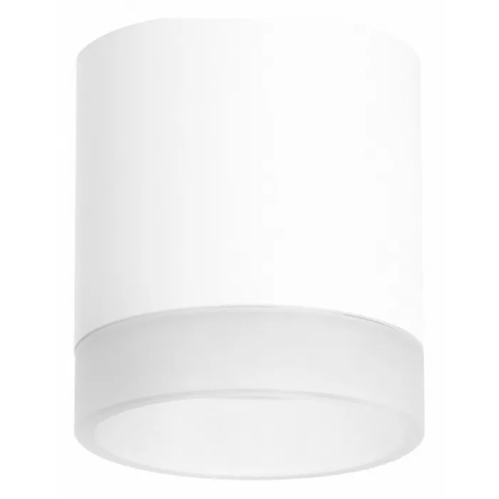 Накладной светильник Lightstar Rullo R348680 от ImperiumLoft