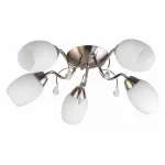 Потолочная люстра TopLight Paula TL3550X-05SN 