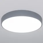 Накладной светильник Eurosvet Entire a062835 от ImperiumLoft