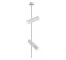 Потолочный светильник Technical C021CL-02W