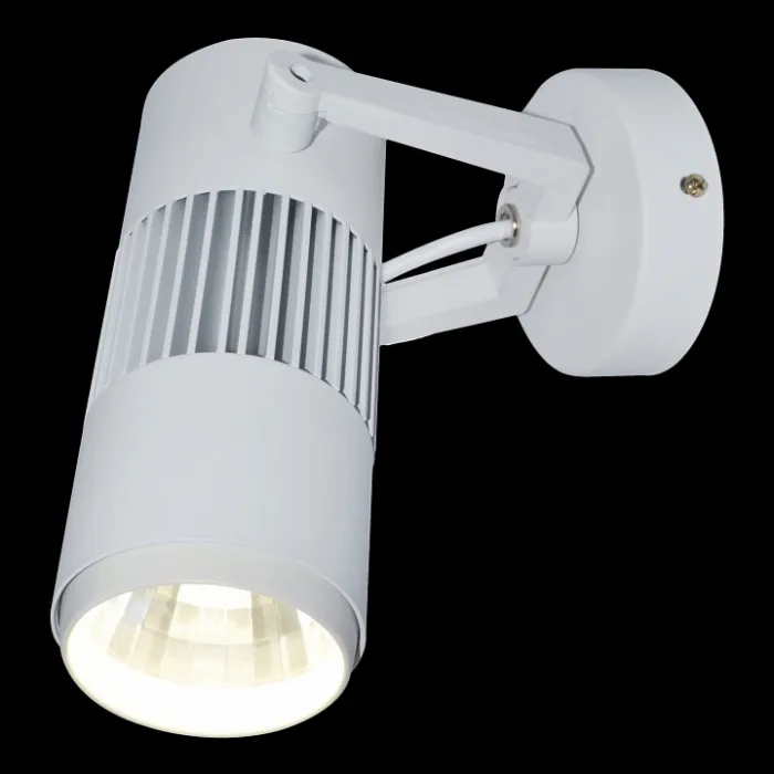 Светильник на штанге Arte Lamp Track Lights A6520AP-1WH Цвет арматуры белый Цвет плафонов белый от ImperiumLoft