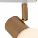 Спот Arte Lamp Falena A3117PL-2WH Цвет арматуры Белый Цвет плафонов Белый от ImperiumLoft