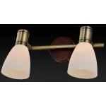 Спот TopLight Sharyl TL3720Y-02BB Цвет арматуры бронза Цвет плафонов белый
