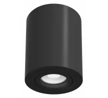 Потолочный светильник Technical C016CL-01B