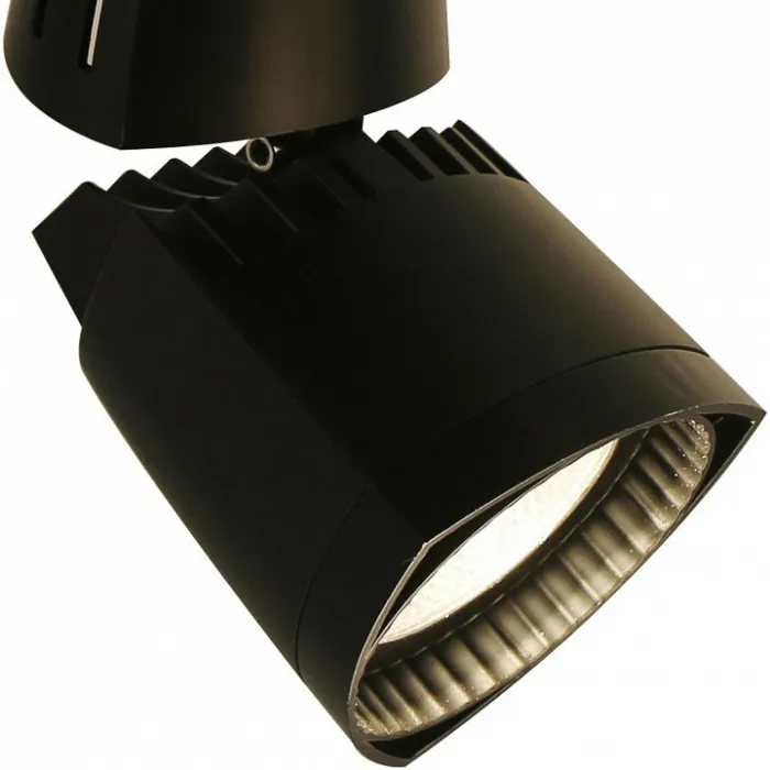 Светильник на штанге Arte Lamp 3830 A3830PL-1BK Цвет арматуры черный Цвет плафонов черный от ImperiumLoft