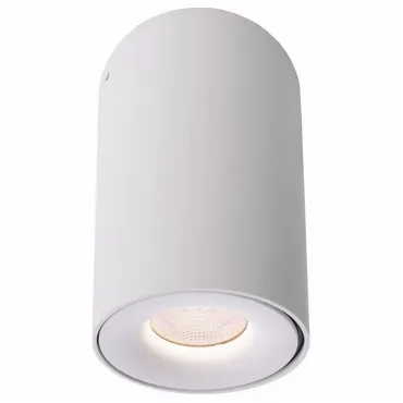 Накладной светильник Deko-Light Bengala LED 348029 Цвет арматуры белый от ImperiumLoft