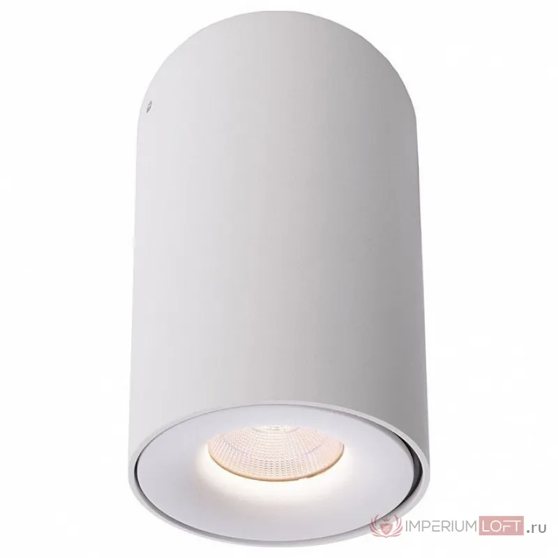 Накладной светильник Deko-Light Bengala LED 348029 Цвет арматуры белый от ImperiumLoft