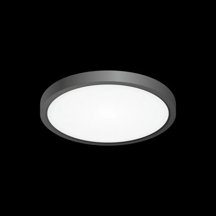 Накладной светильник Citilux Бейсик CL738181V Черный , плафон Белый от ImperiumLoft