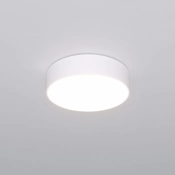 Накладной светильник Eurosvet Entire 90318/1 белый от ImperiumLoft