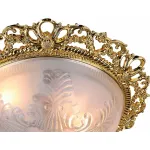 Потолочный светильник Arte Lamp Piatti A8002PL-2GO 