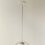 Подвесной светильник F-promo Uccello 2939-1P 
