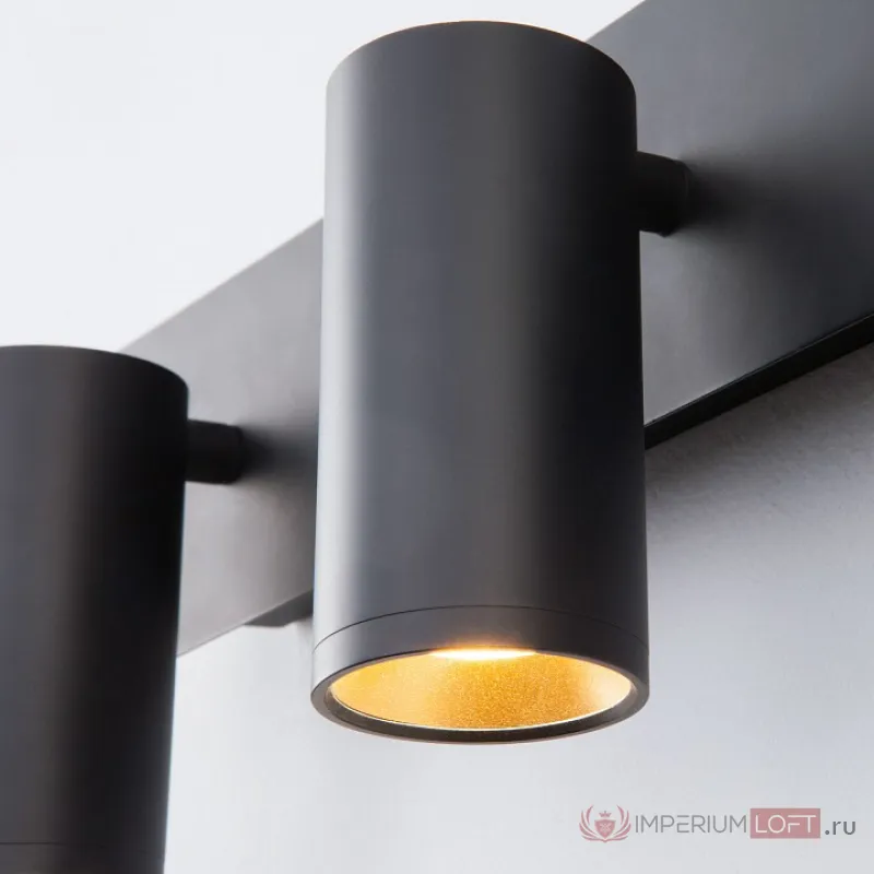 Спот Eurosvet Fleur 20066/3 LED черный/золото Цвет арматуры черный Цвет плафонов черный от ImperiumLoft