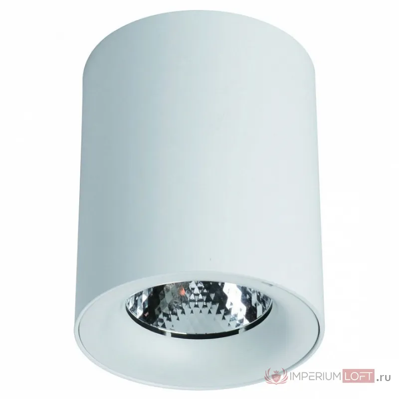 Накладной светильник Arte Lamp Facile A5130PL-1WH Цвет арматуры белый Цвет плафонов белый от ImperiumLoft