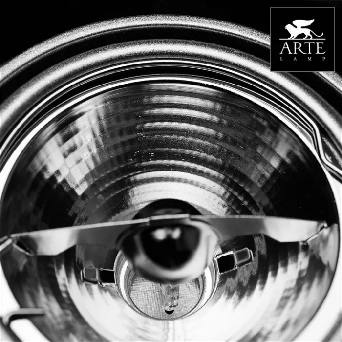 Встраиваемый светильник Arte Lamp Technika 2 A5930PL-2SI Цвет арматуры серебро Цвет плафонов серебро от ImperiumLoft