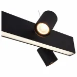 Подвесной светильник Vele Luce Chela 742 VL10142P14