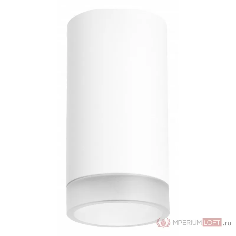 Накладной светильник Lightstar Rullo R43630 Цвет арматуры белый Цвет плафонов белый от ImperiumLoft