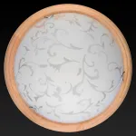 Потолочный светильник TopLight Daniela TL9530Y-00PN 