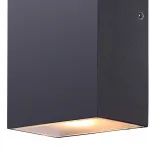 Накладной светильник Globo Evalia 34153 Цвет арматуры черный Цвет плафонов черный