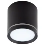 Накладной светильник Denkirs DK401 DK4016-BK цвет арматуры черный цвет плафонов черный от ImperiumLoft