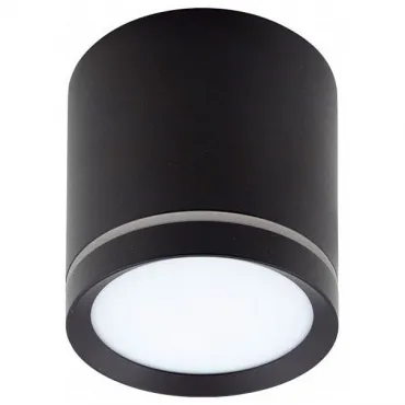 Накладной светильник Denkirs DK401 DK4016-BK цвет арматуры черный цвет плафонов черный
