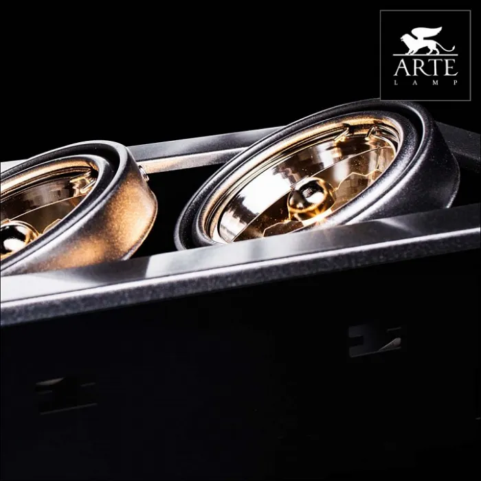 Встраиваемый светильник Arte Lamp Technika 2 A5930PL-2SI Цвет арматуры серебро Цвет плафонов серебро от ImperiumLoft