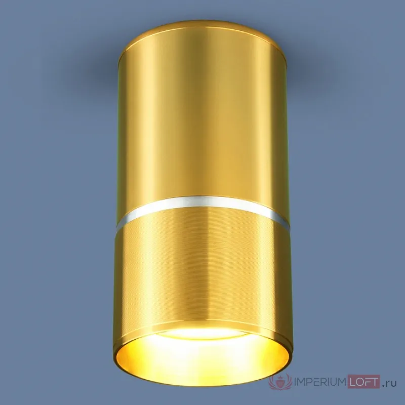 Накладной светильник Elektrostandard DLN106 a047732 Цвет плафонов золото Цвет арматуры золото от ImperiumLoft
