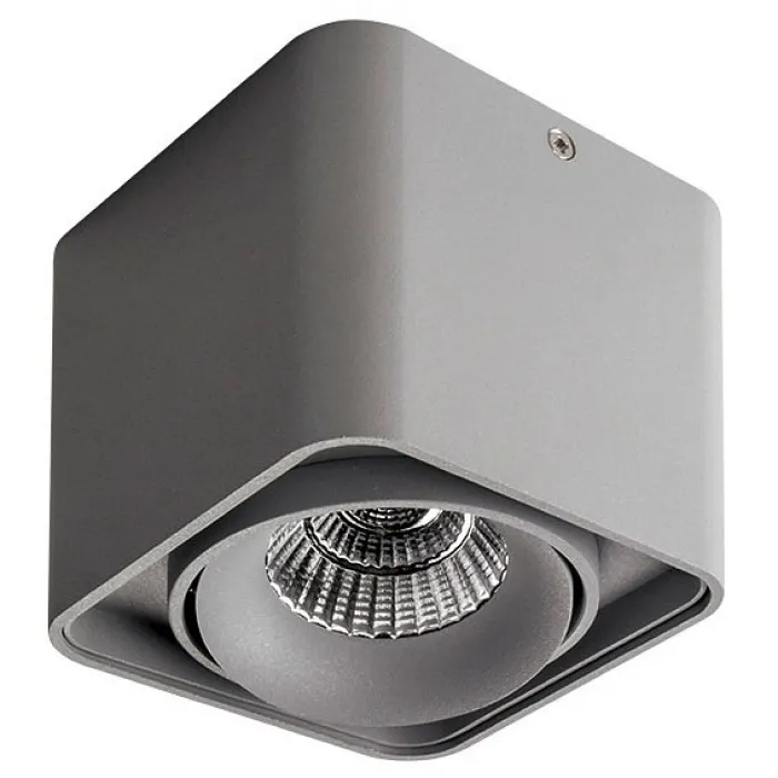 Накладной светильник Lightstar Monocco 052119-IP65 от ImperiumLoft