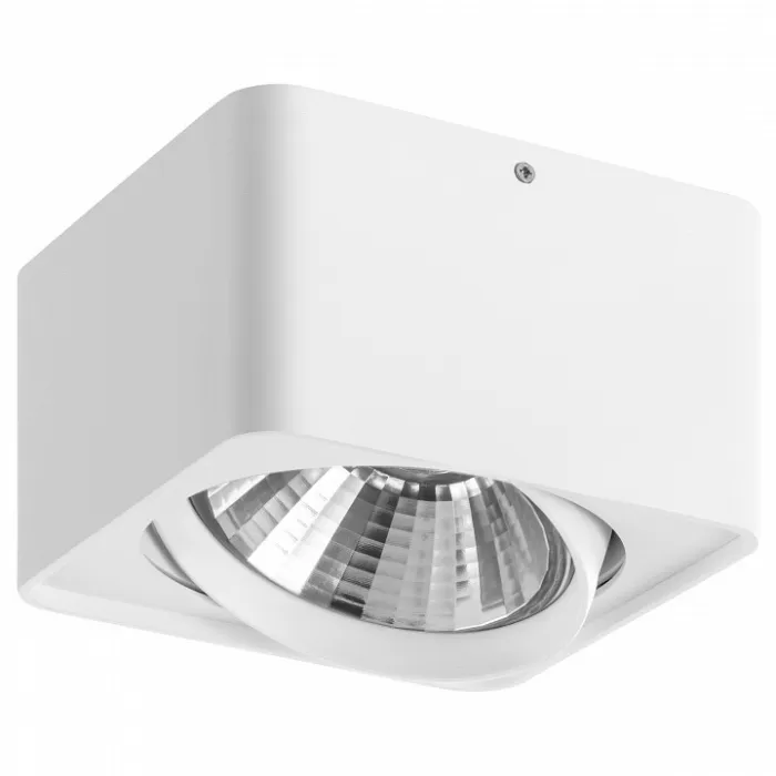 Накладной светильник Lightstar Monocco 212616 от ImperiumLoft