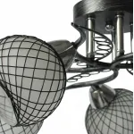 Потолочная люстра TopLight Isabella TL7450X-05BP 