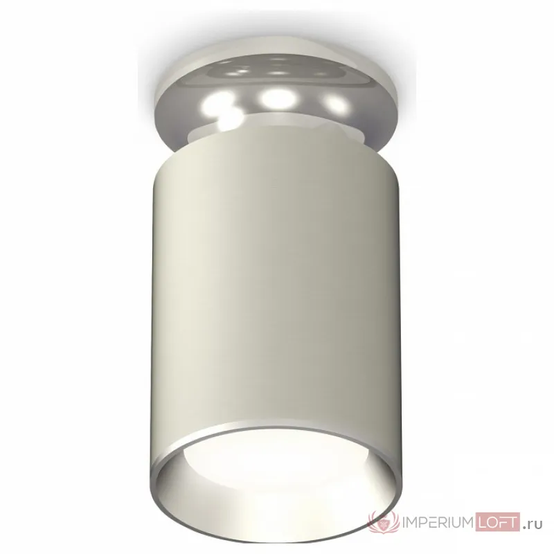 Накладной светильник Ambrella Techno Spot 243 XS6314101 Цвет арматуры серебро Цвет плафонов серый от ImperiumLoft