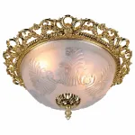 Потолочный светильник Arte Lamp Piatti A8002PL-2GO 