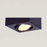 Накладной светильник Citilux Дюрен CL538212 от ImperiumLoft