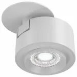 Светильник на штанге Maytoni Treo C063CL-L12W4K Цвет арматуры белый Цвет плафонов белый
