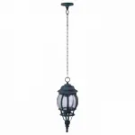Подвесной светильник Arte Lamp Atlanta A1045SO-1BG Цвет арматуры медь Цвет плафонов прозрачный от ImperiumLoft