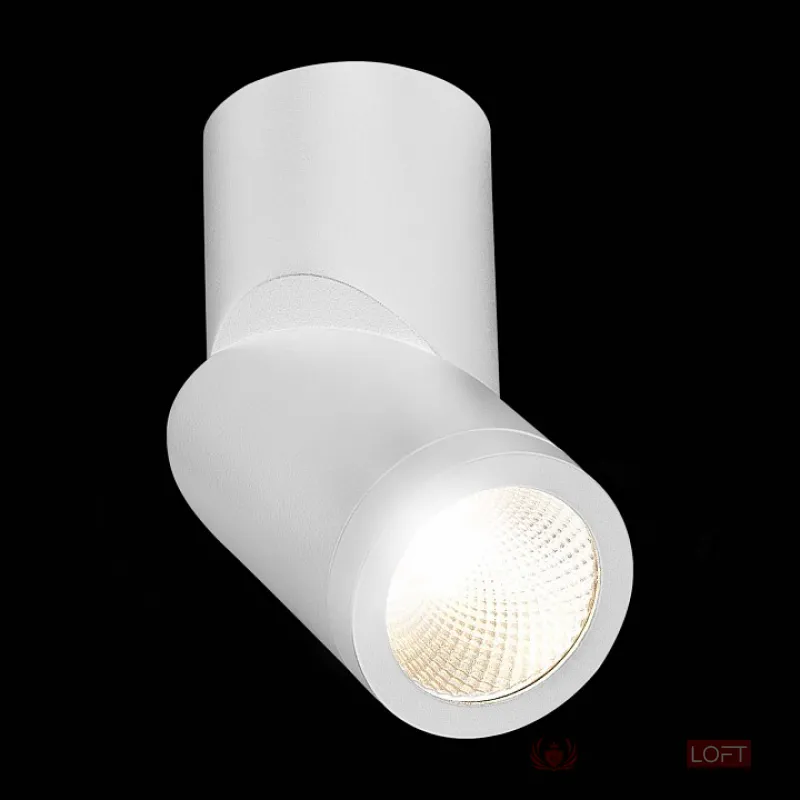 Светильник на штанге ST-Luce ST650 ST650.542.10 от ImperiumLoft