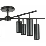 Потолочная люстра Lightstar Rullo LR728374874