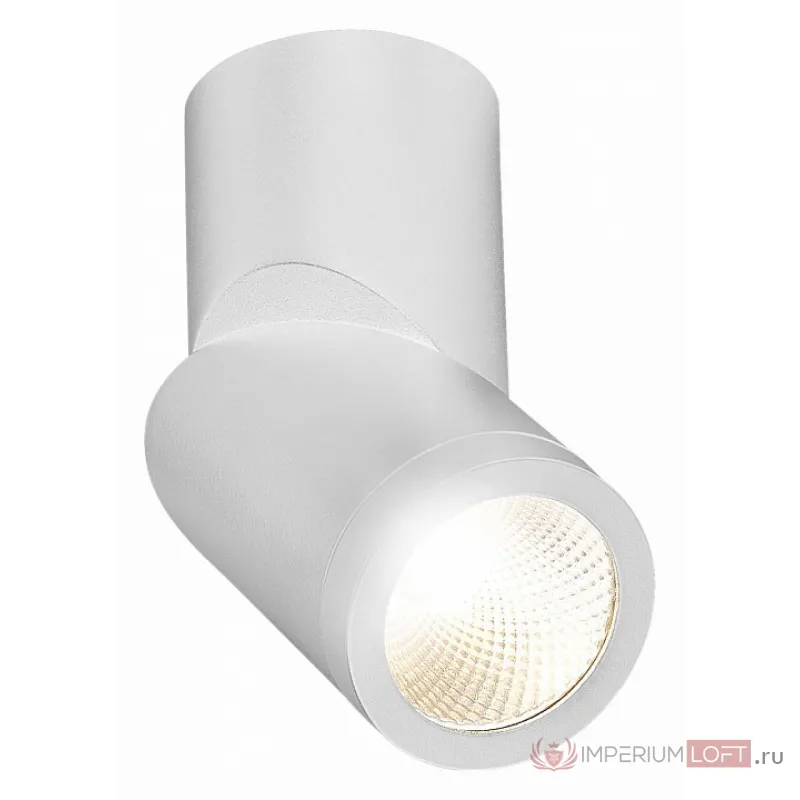 Светильник на штанге ST-Luce ST650 ST650.542.10 от ImperiumLoft