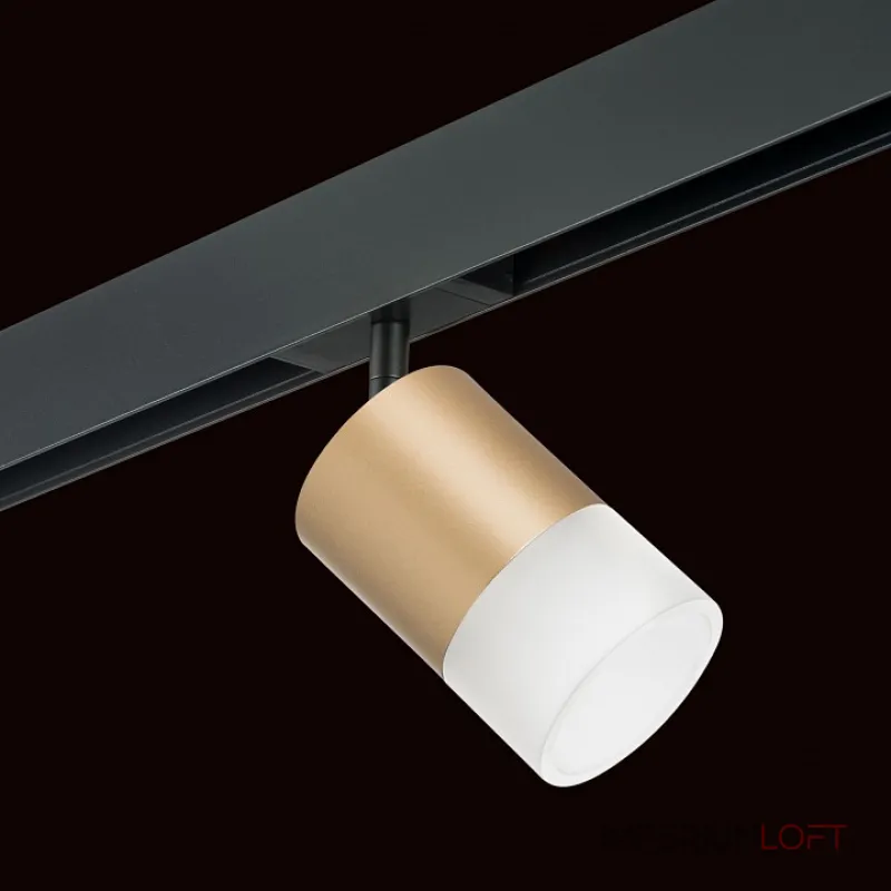 Трековый светильник Lightstar Rullo PRO349081