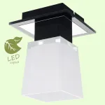 Накладной светильник Lussole Lente GRLSC-2507-01