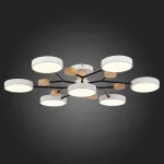Потолочная люстра EVOLUCE Faema SLE6006-502-07 от ImperiumLoft