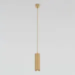 Подвесной светильник Elektrostandard Lead 50244 LED